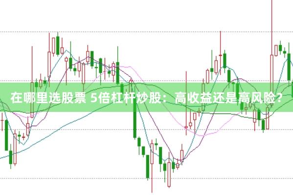 在哪里选股票 5倍杠杆炒股：高收益还是高风险？