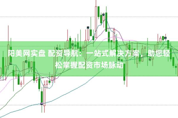 阳美网实盘 配资导航：一站式解决方案，助您轻松掌握配资市场脉动