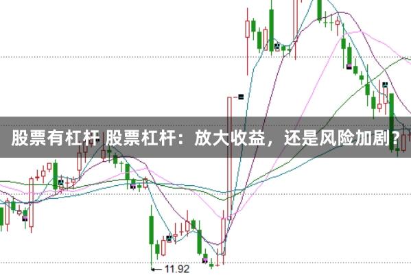 股票有杠杆 股票杠杆：放大收益，还是风险加剧？
