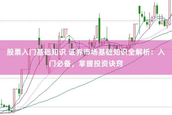 股票入门基础知识 证券市场基础知识全解析：入门必备，掌握投资诀窍