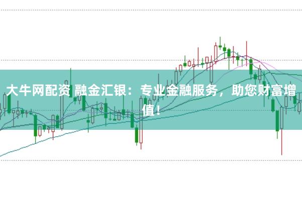 大牛网配资 融金汇银：专业金融服务，助您财富增值！