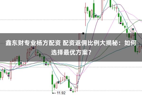 鑫东财专业杨方配资 配资返佣比例大揭秘：如何选择最优方案？