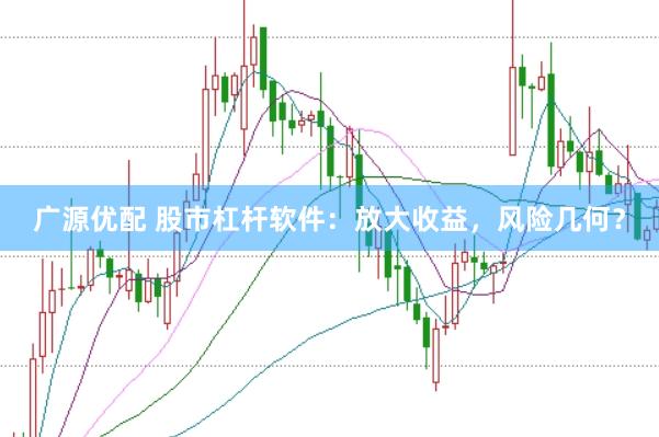 广源优配 股市杠杆软件：放大收益，风险几何？