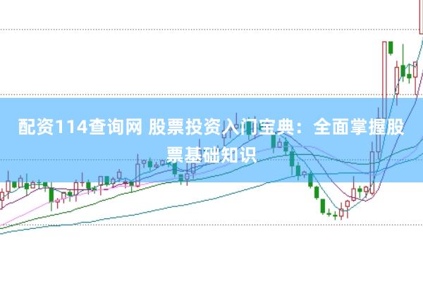 配资114查询网 股票投资入门宝典：全面掌握股票基础知识