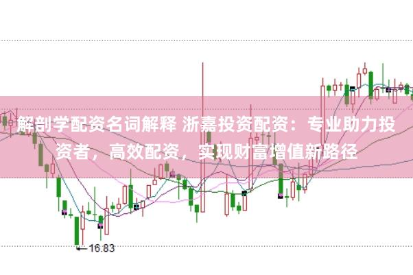 解剖学配资名词解释 浙嘉投资配资：专业助力投资者，高效配资，实现财富增值新路径