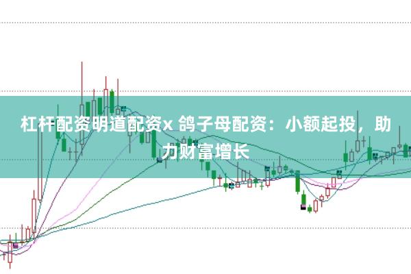 杠杆配资明道配资x 鸽子母配资：小额起投，助力财富增长