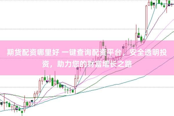 期货配资哪里好 一键查询配资平台，安全透明投资，助力您的财富增长之路