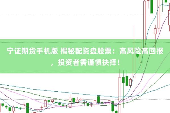 宁证期货手机版 揭秘配资盘股票：高风险高回报，投资者需谨慎抉择！