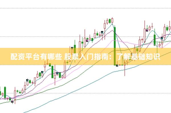 配资平台有哪些 股票入门指南：了解基础知识