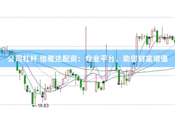 公司杠杆 信雅达配资：专业平台，助您财富增值