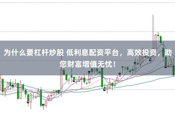 为什么要杠杆炒股 低利息配资平台，高效投资，助您财富增值无忧！