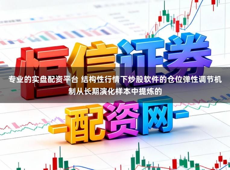 专业的实盘配资平台 结构性行情下炒股软件的仓位弹性调节机制从长期演化样本中提炼的